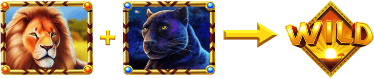 Lion and Panther Features image