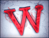 Wilds and Stacked Wild image