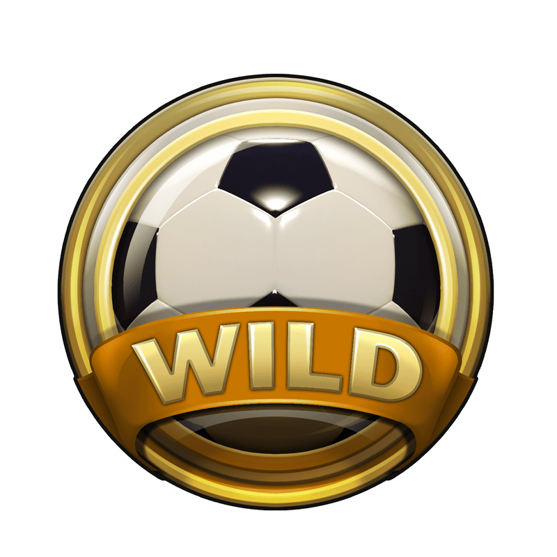 Wild Substitution image