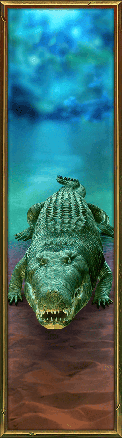 Symbols Expansion image